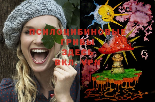 марки nbome Заводоуковск