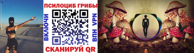 Галлюциногенные грибы Psilocybe Купить где Гуково
