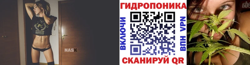 Купить где  Гуково  Канабис ГИДРОПОН 